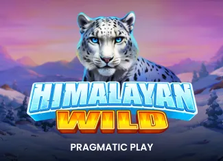 Himalayan Wild - KISS69