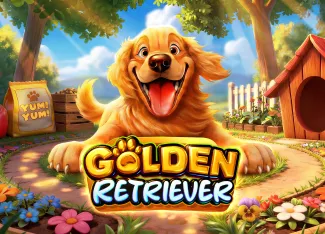 Golden Retriever - KISS69